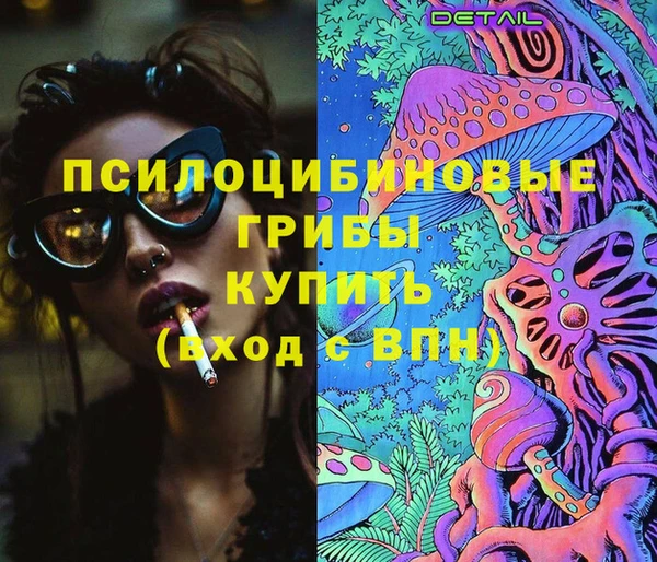 прущие крисы Великий Новгород