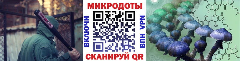 где продают   Городище  Псилоцибиновые грибы Psilocybe 
